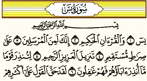 سورة يس مكتوبة