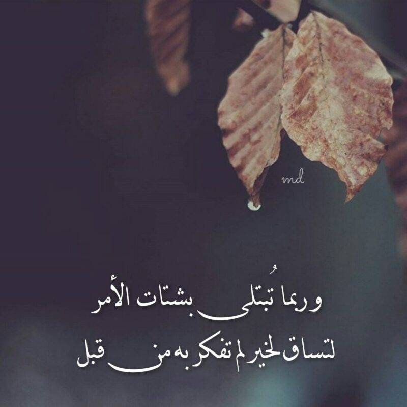 صور منوعة جميلة