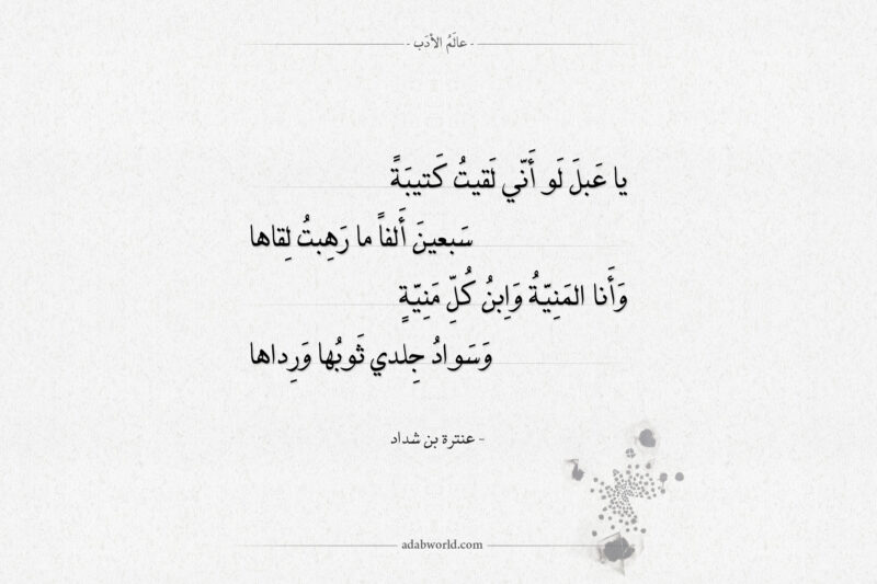 حصاني كان دلال المنايا كلمات شعر عنترة بن شداد