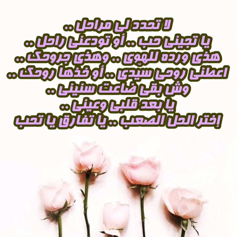 عبارات عن الحياة