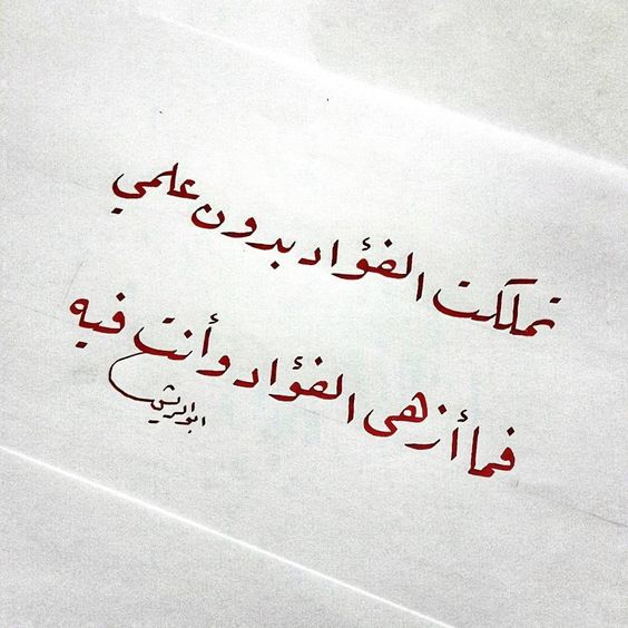 عبارات عن الحياة