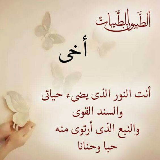 كلام عن الاخ