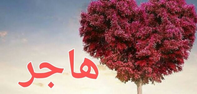 معنى اسم هاجر