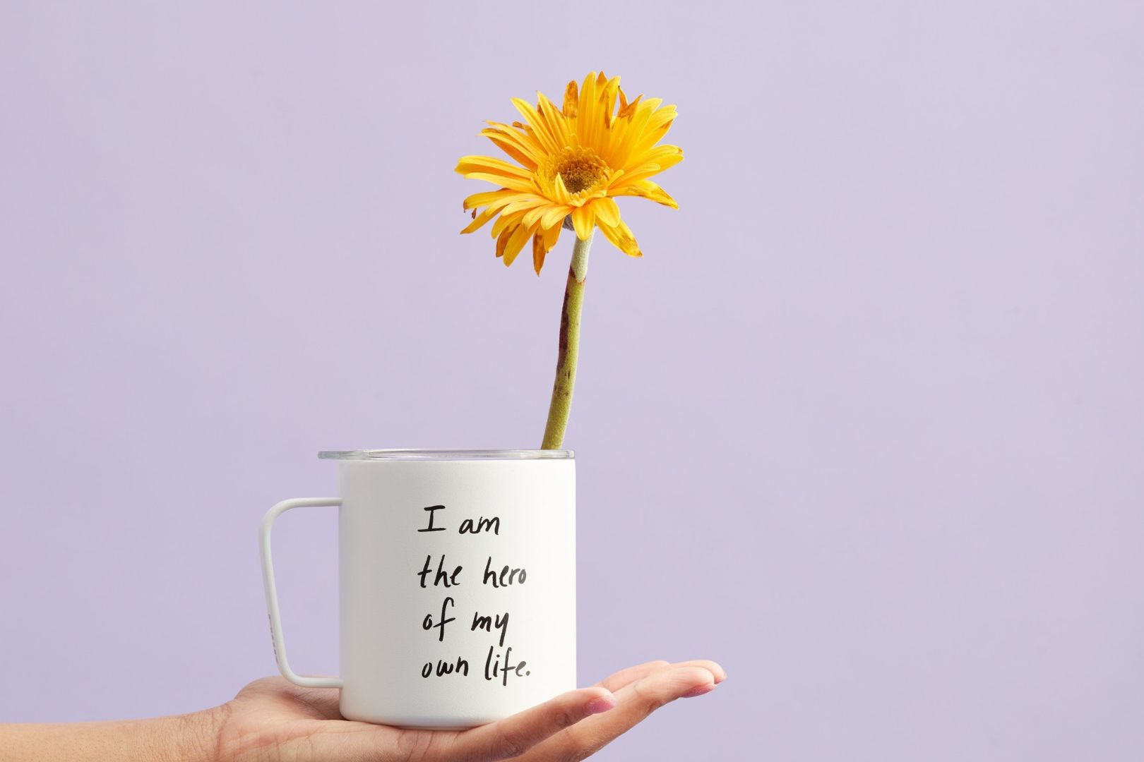 اقتباسات عن الحياة