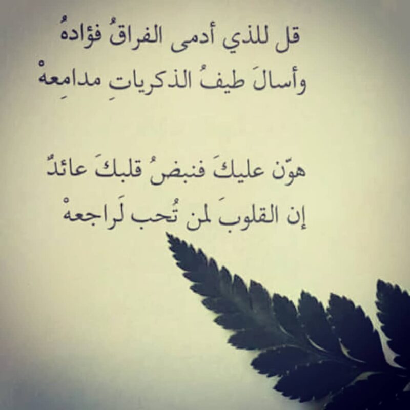 شعر غزل