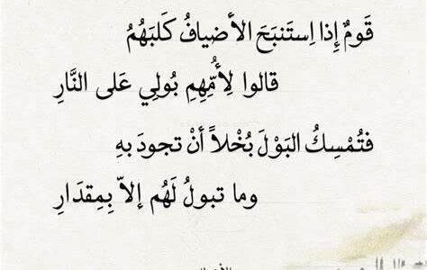 عالم الأدب هجاء شعر الهجاء من مختلف القصائد والأشعار
